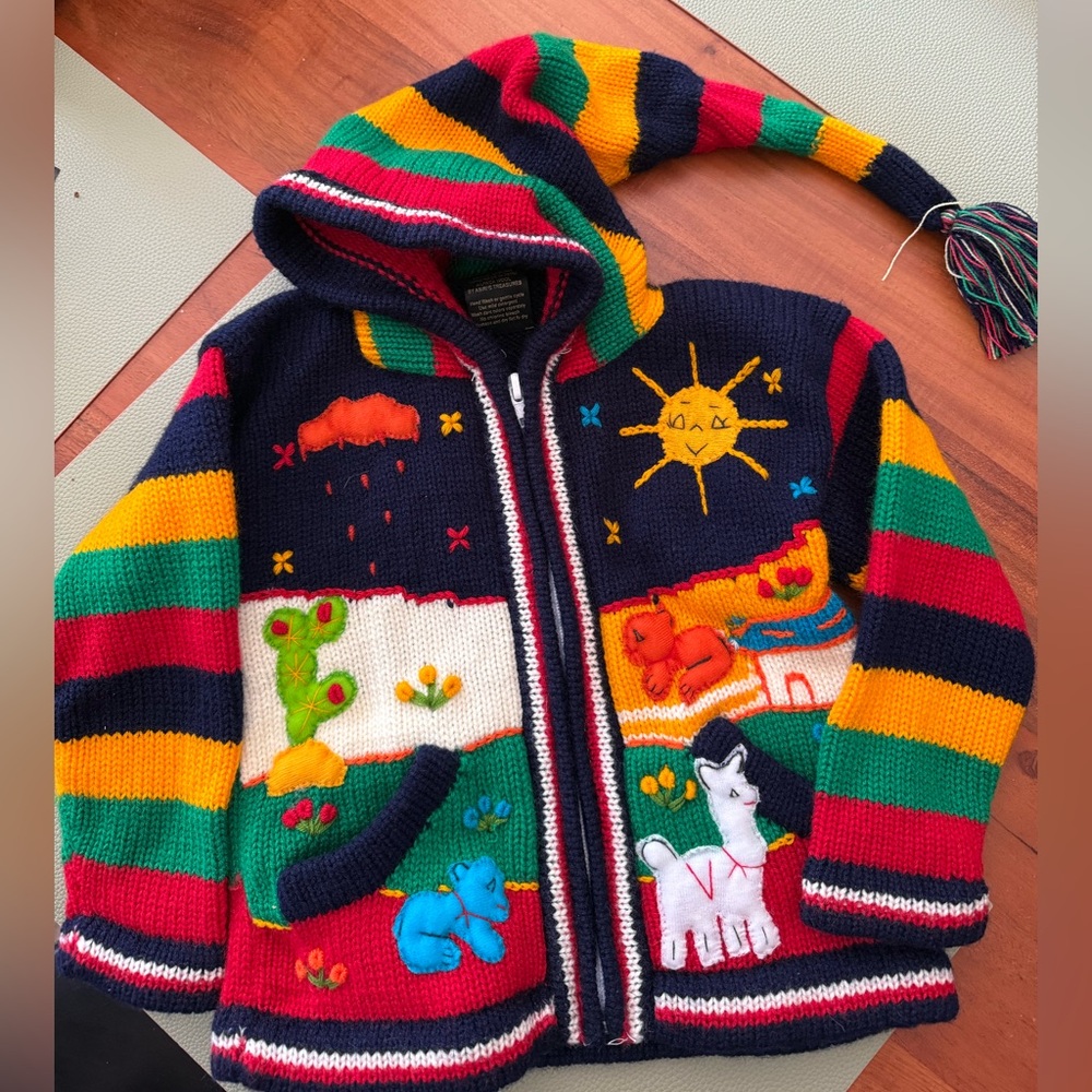 Alpaca wool Colorful Striped knit Hoodie with Animal Design